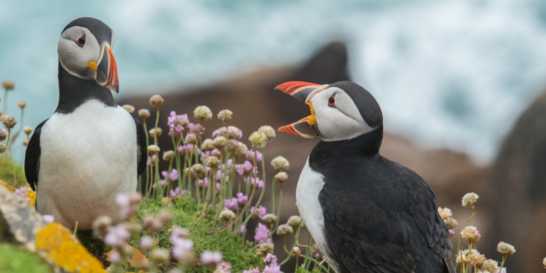 Nesciunt libero autem minus.