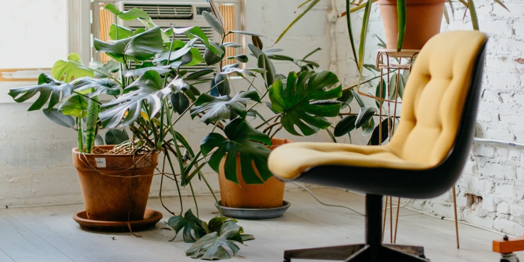 Aut officia qui perspiciatis.